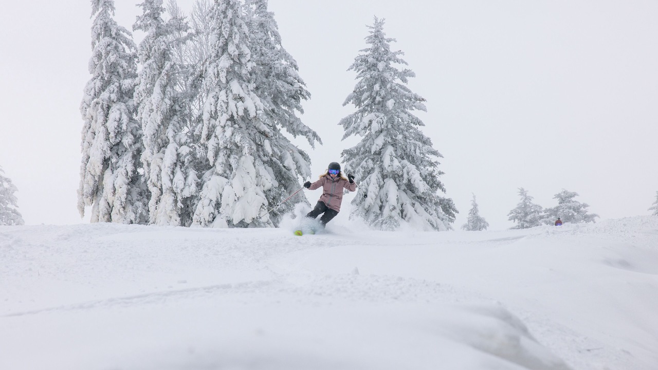 Photo of Others in Snowshoe