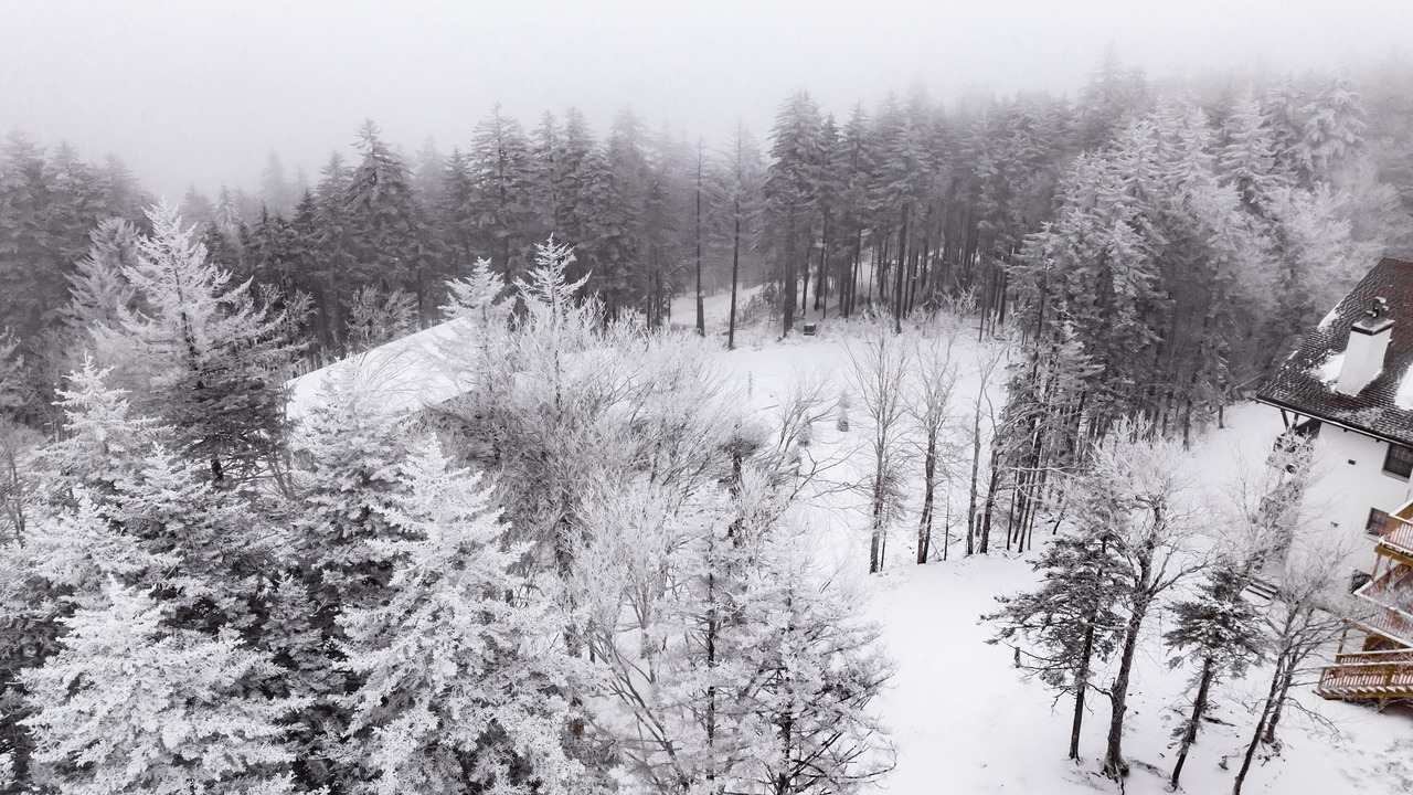 Photo of Outdoor in Edray