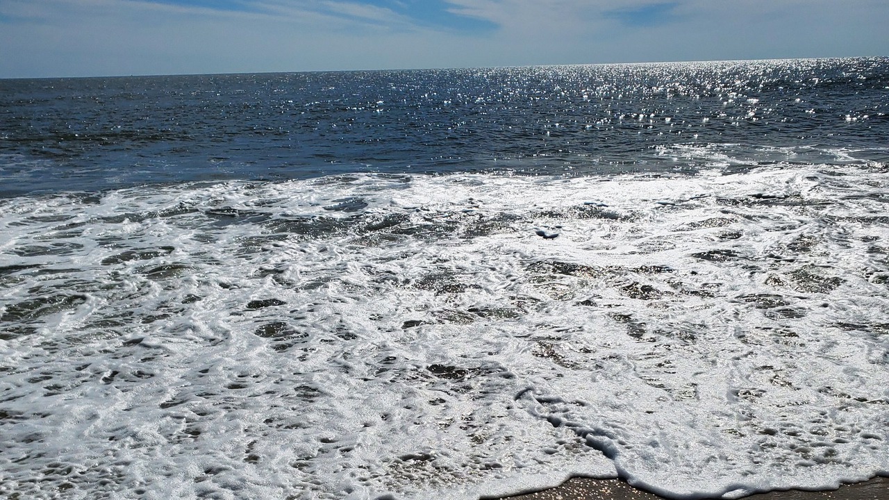 Photo of Others in Wildwood