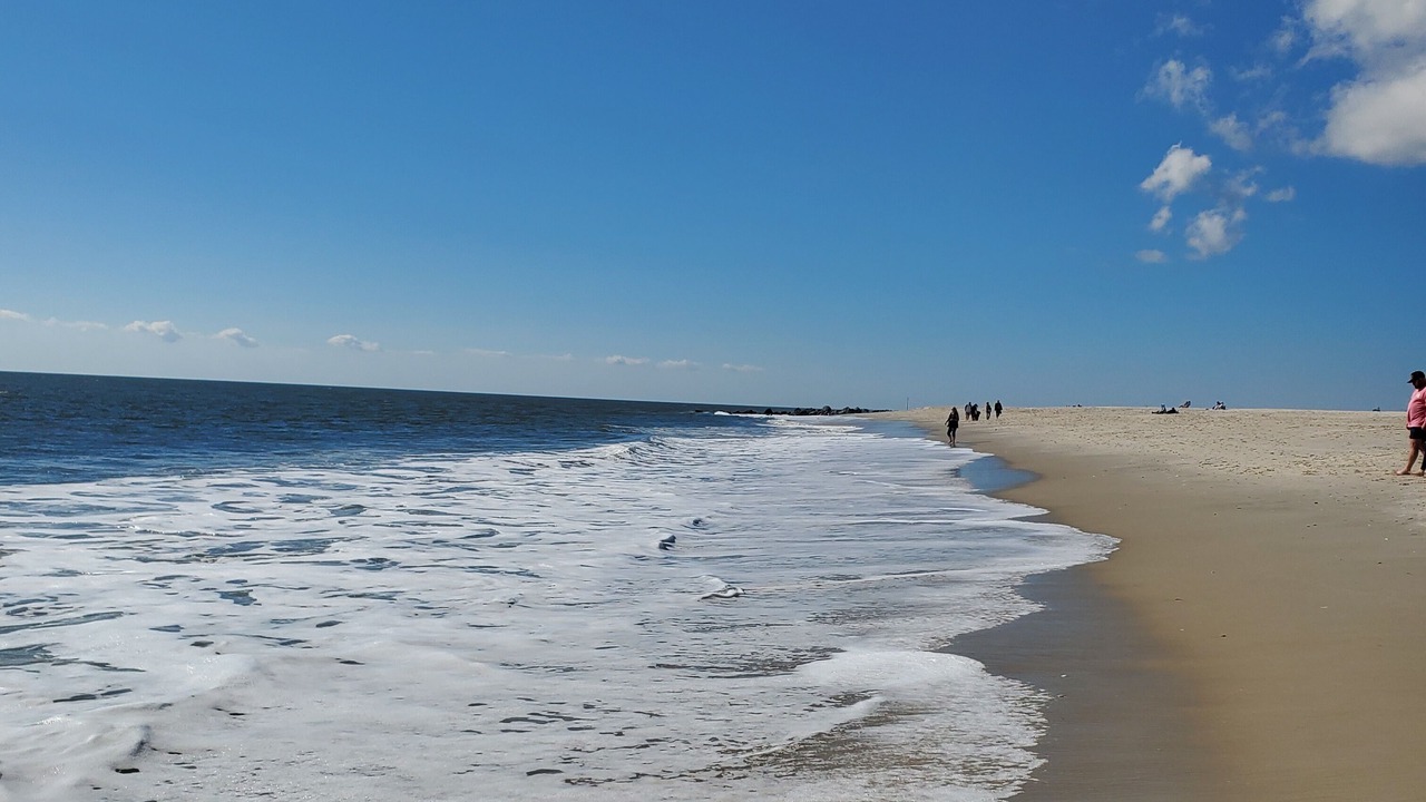 Photo of Others in Wildwood