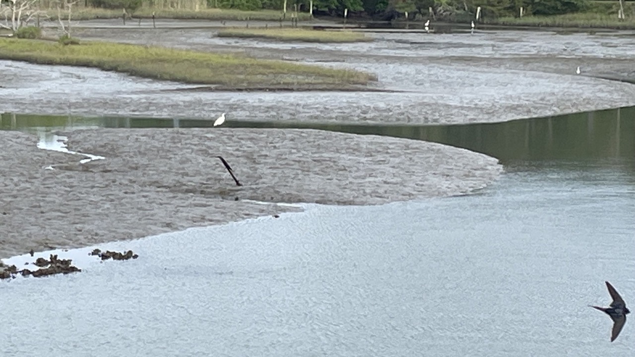 Photo of Others in Willis Wharf