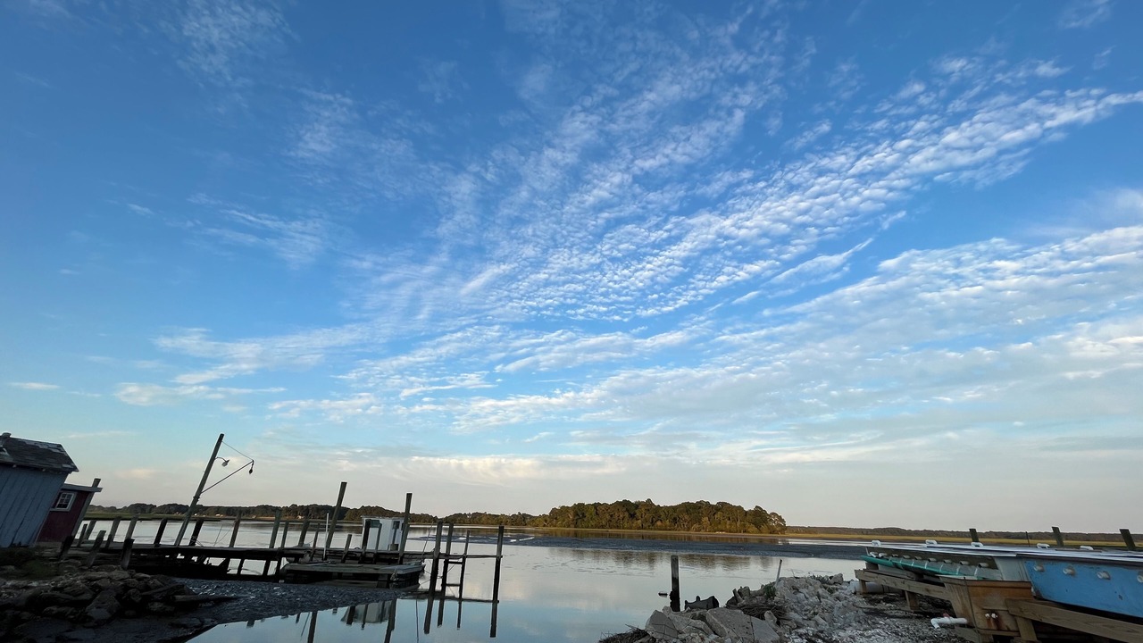 Photo of Others in Willis Wharf