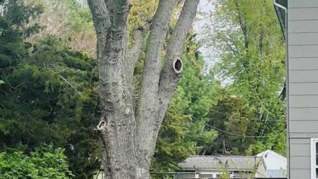 Photo of Outdoor in Tilghman