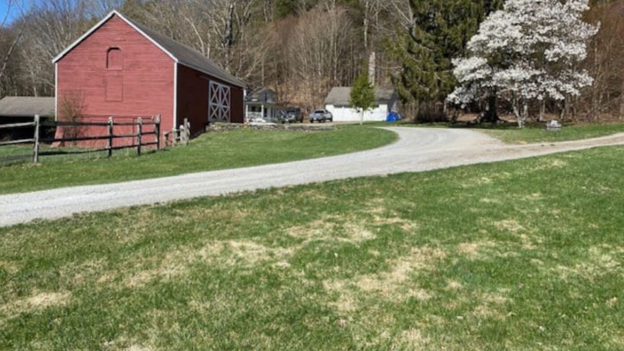 Photo of Outdoor in West Stockbridge