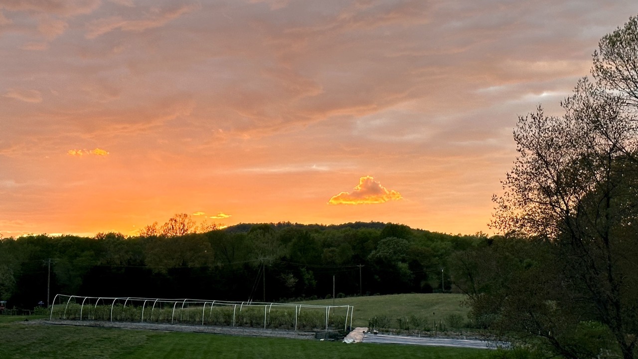 Photo of Outdoor in Cedar Mountain