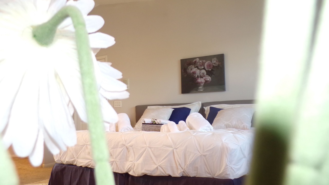 Photo of Bedroom in Sunrise