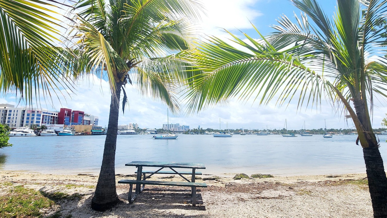 Photo of Others in Royal Poinciana