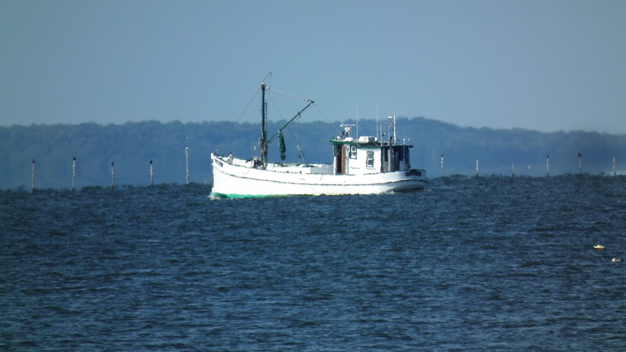 Photo of Others in Leonardtown