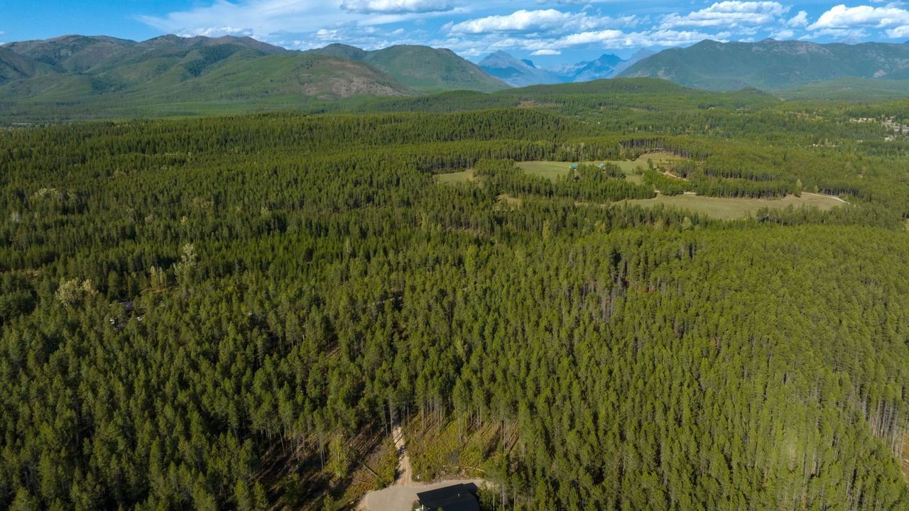 Photo of Outdoor in Columbia Falls