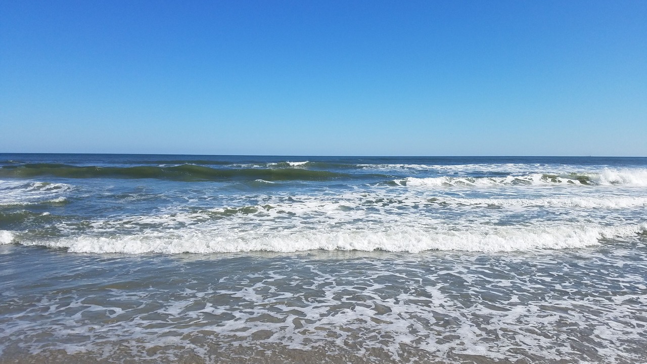 Photo of Others in Wildwood