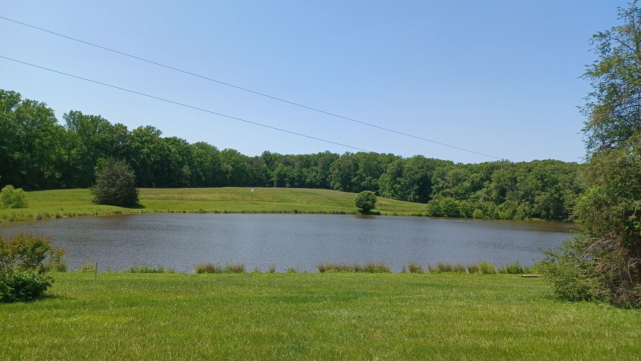 Photo of Outdoor in Ruby