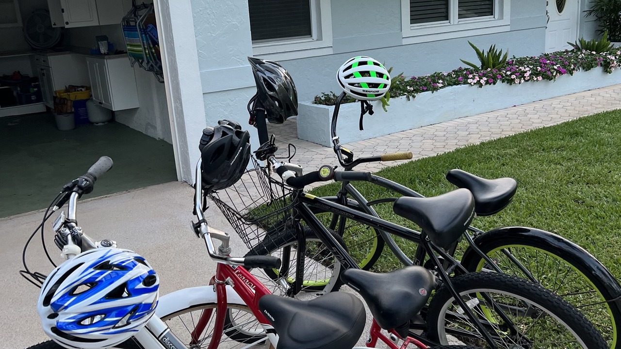 Photo of Outdoor in Tropic Palms