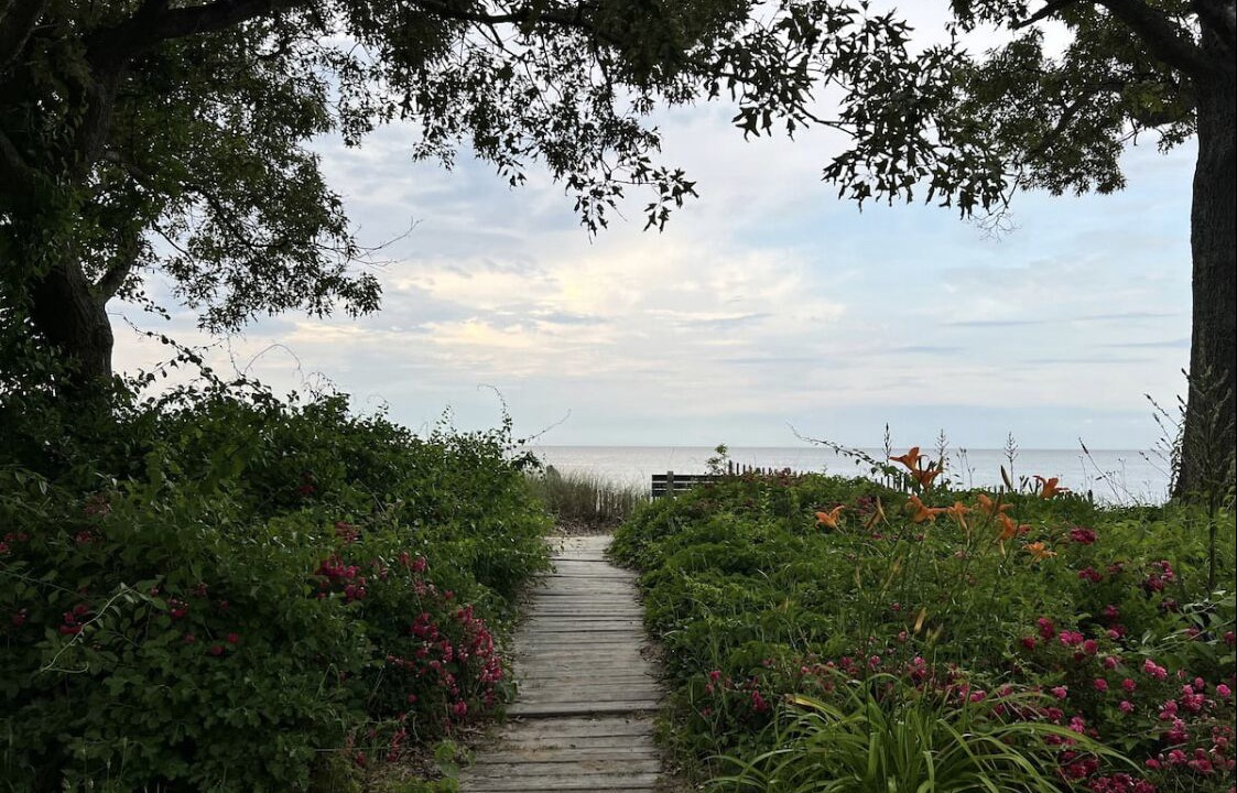 Photo of Outdoor in Calvert Beach-Long Beach