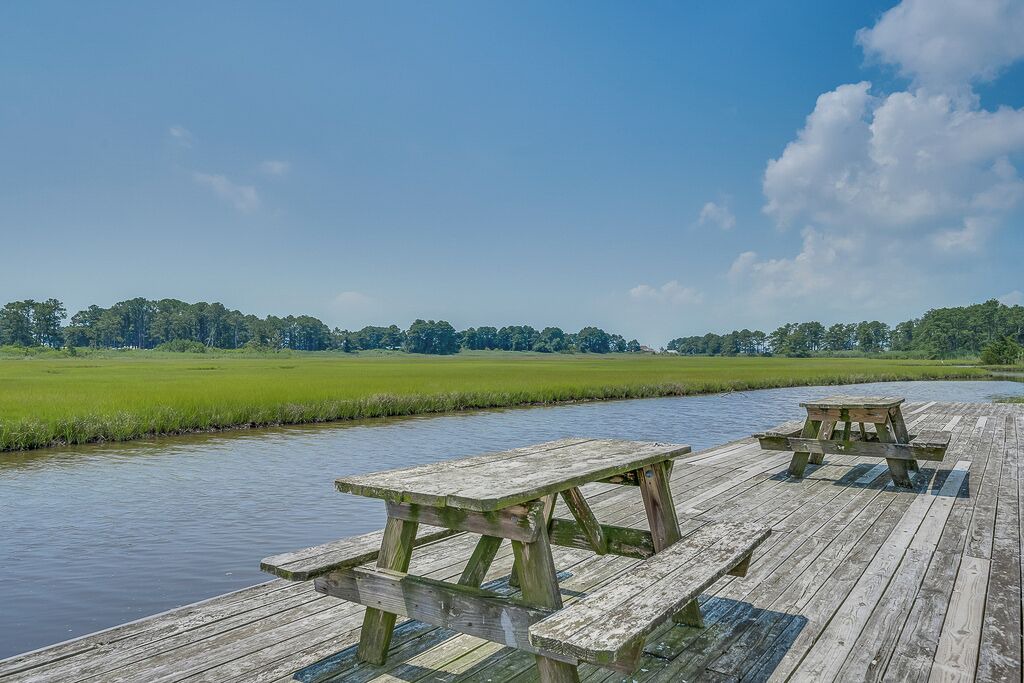 Photo of Others in Chincoteague