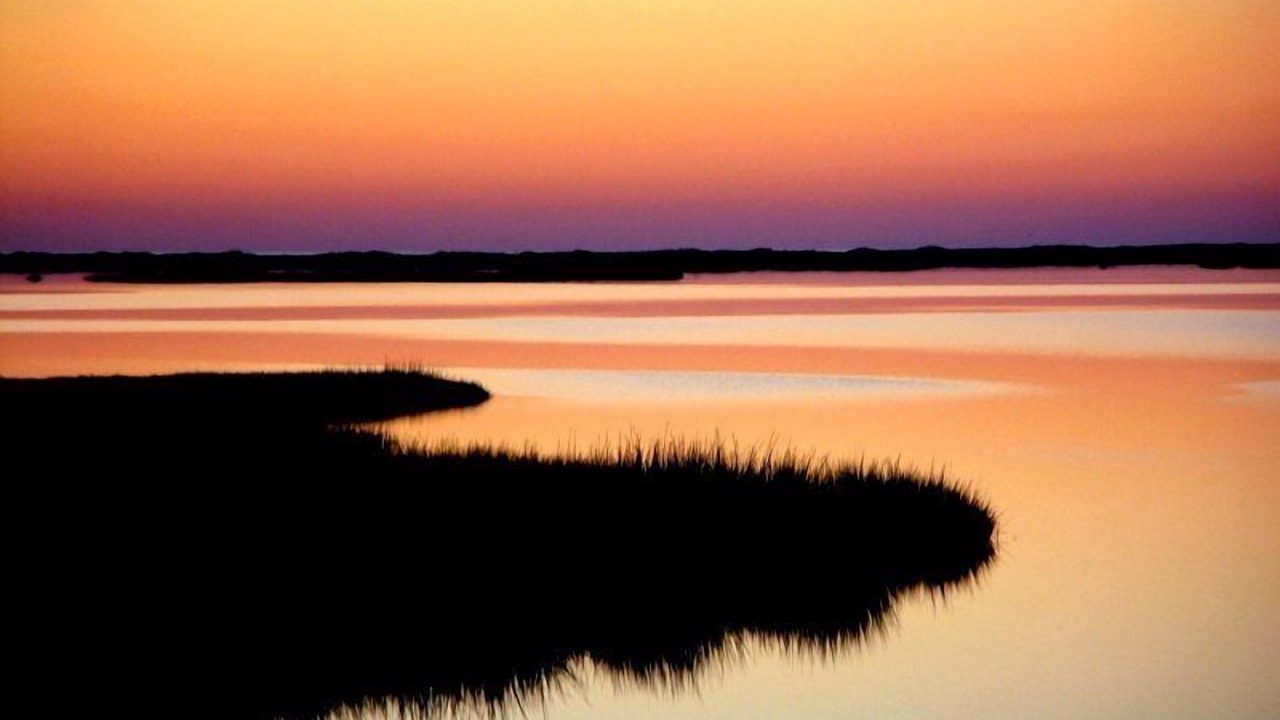 Photo of Outdoor in Chincoteague