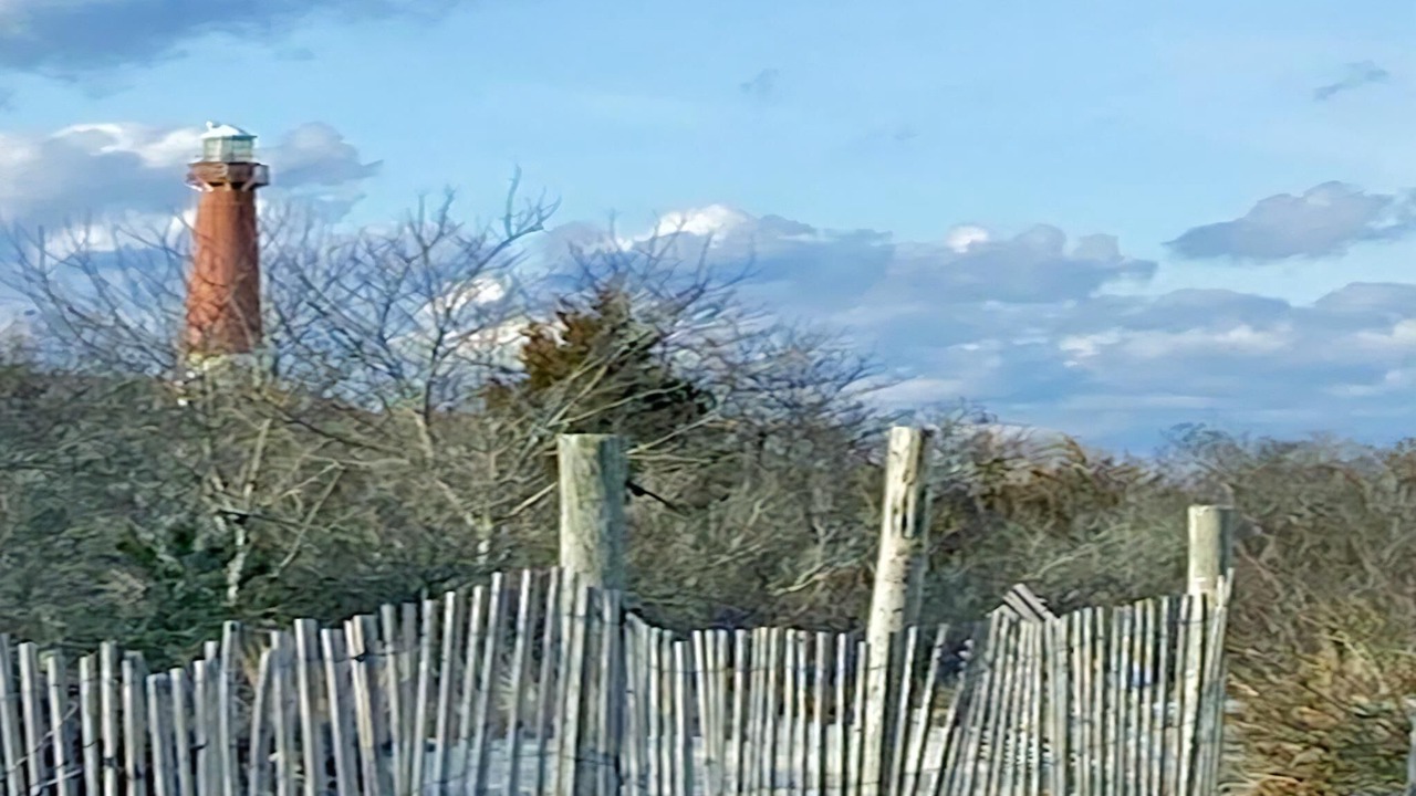 Photo of Others in Barnegat Light