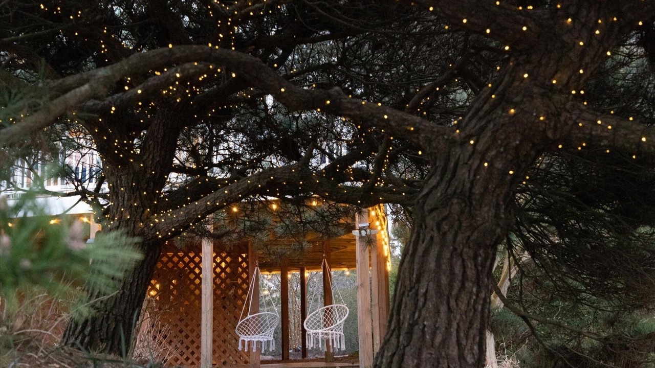Photo of Outdoor in Fenwick Island