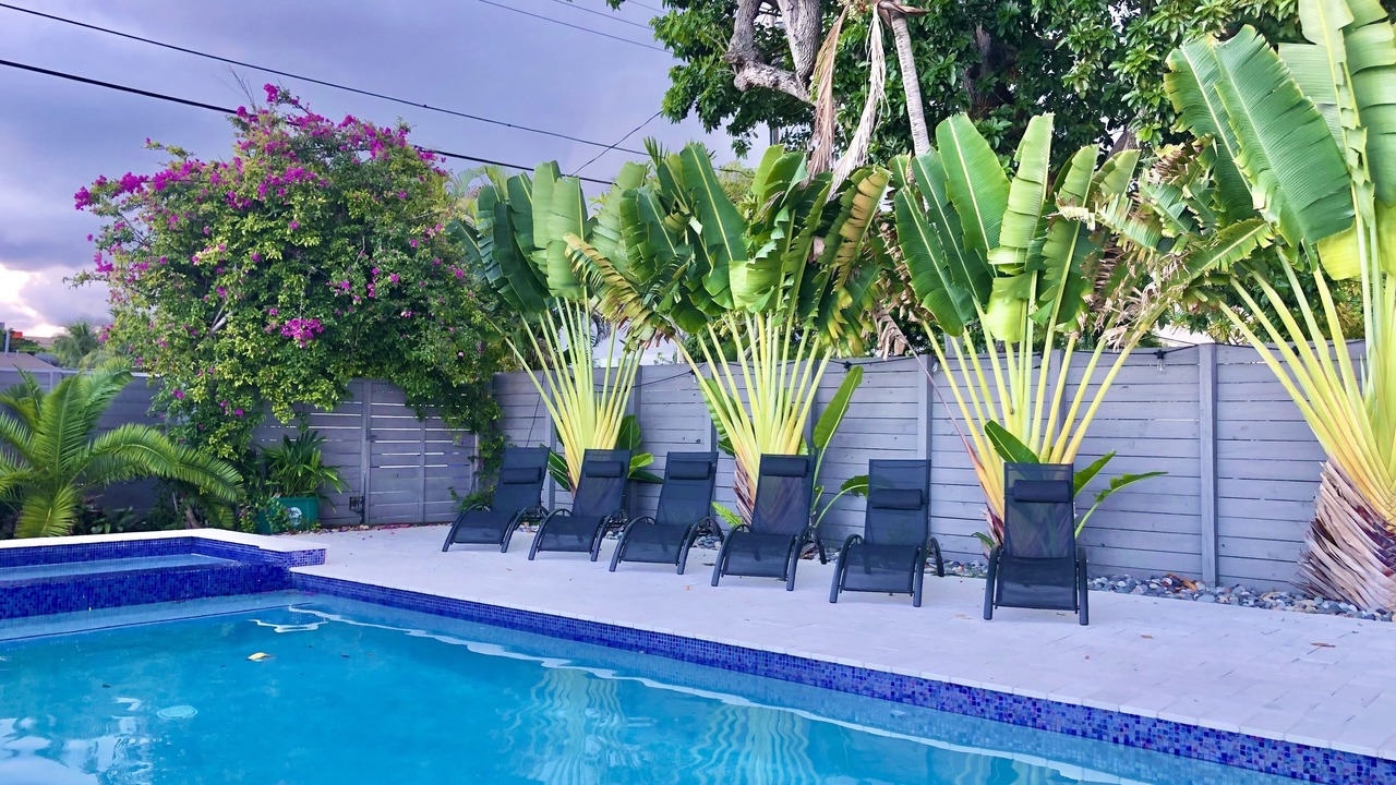 Photo of Outdoor in Hollywood Hills