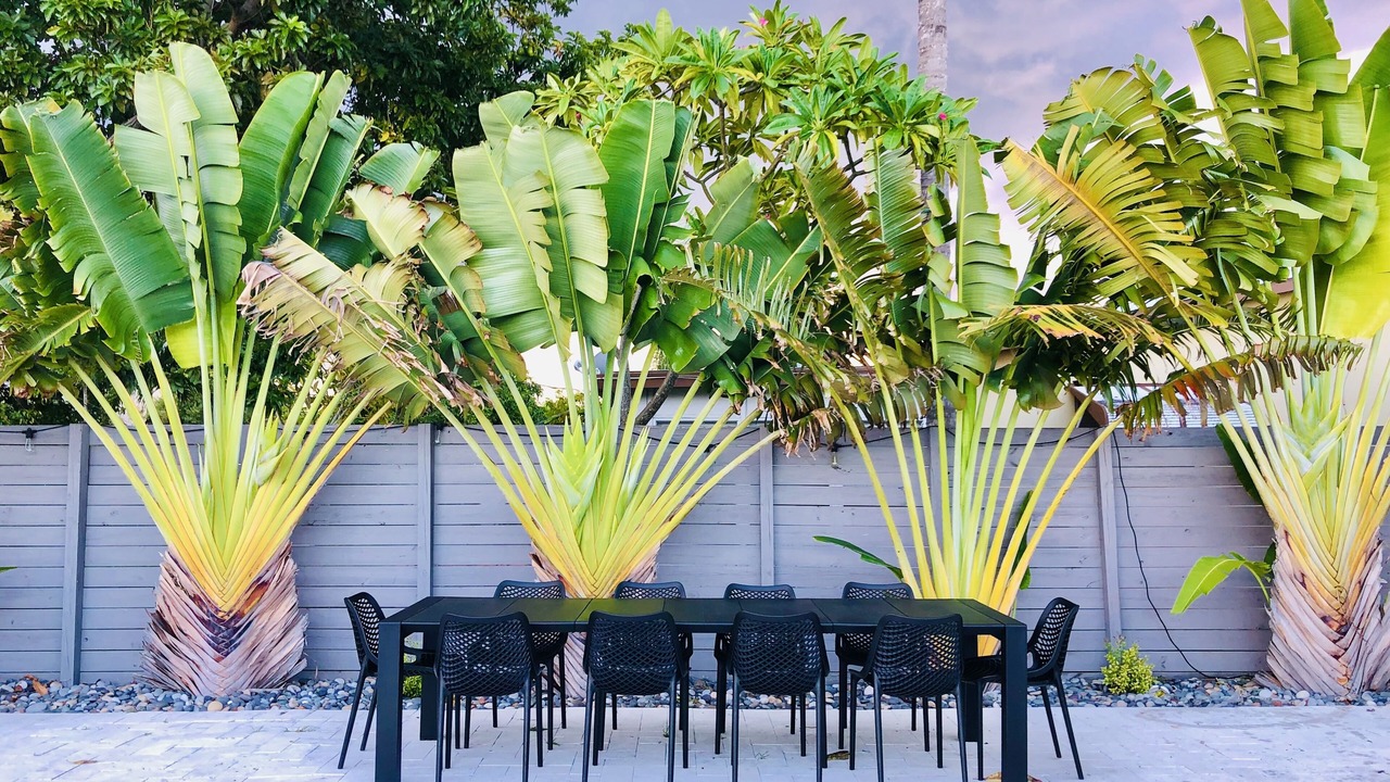 Photo of Outdoor in Hollywood Hills