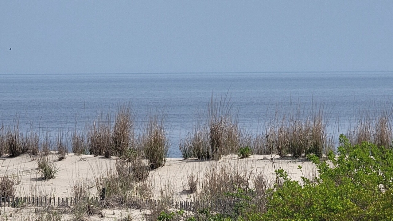 Photo of Others in Broadkill Beach