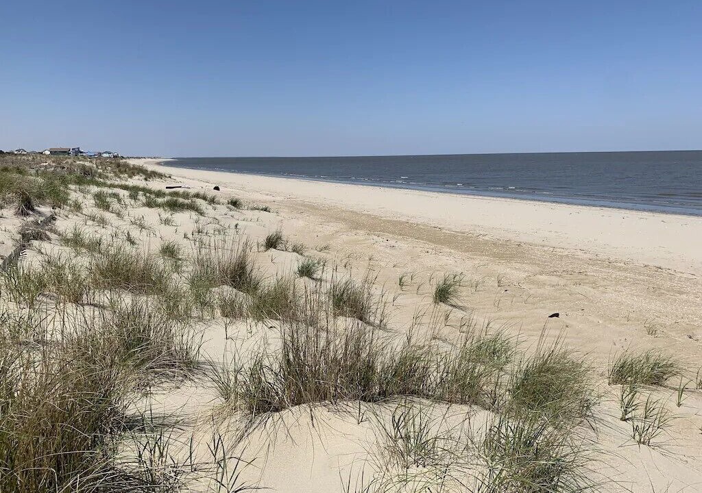Photo of Others in Broadkill Beach