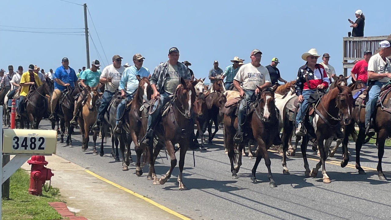 Photo of Others in Chincoteague