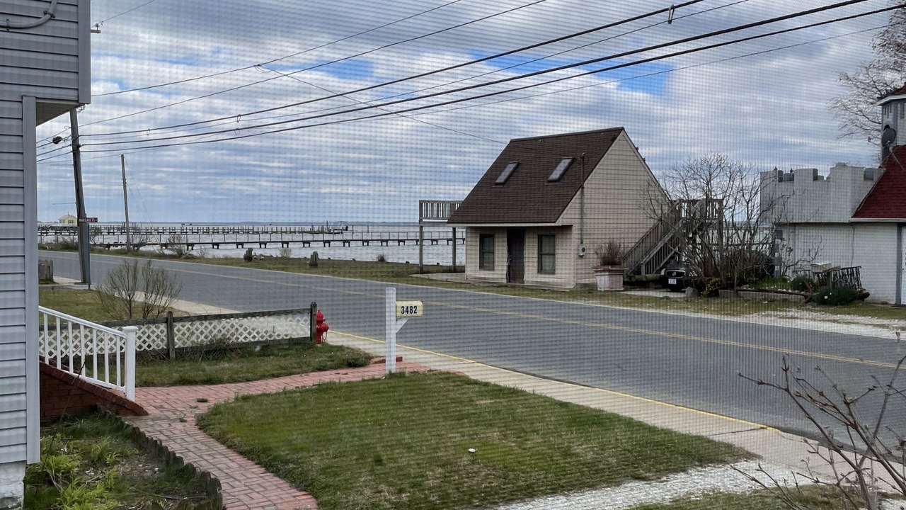Photo of Outdoor in Chincoteague