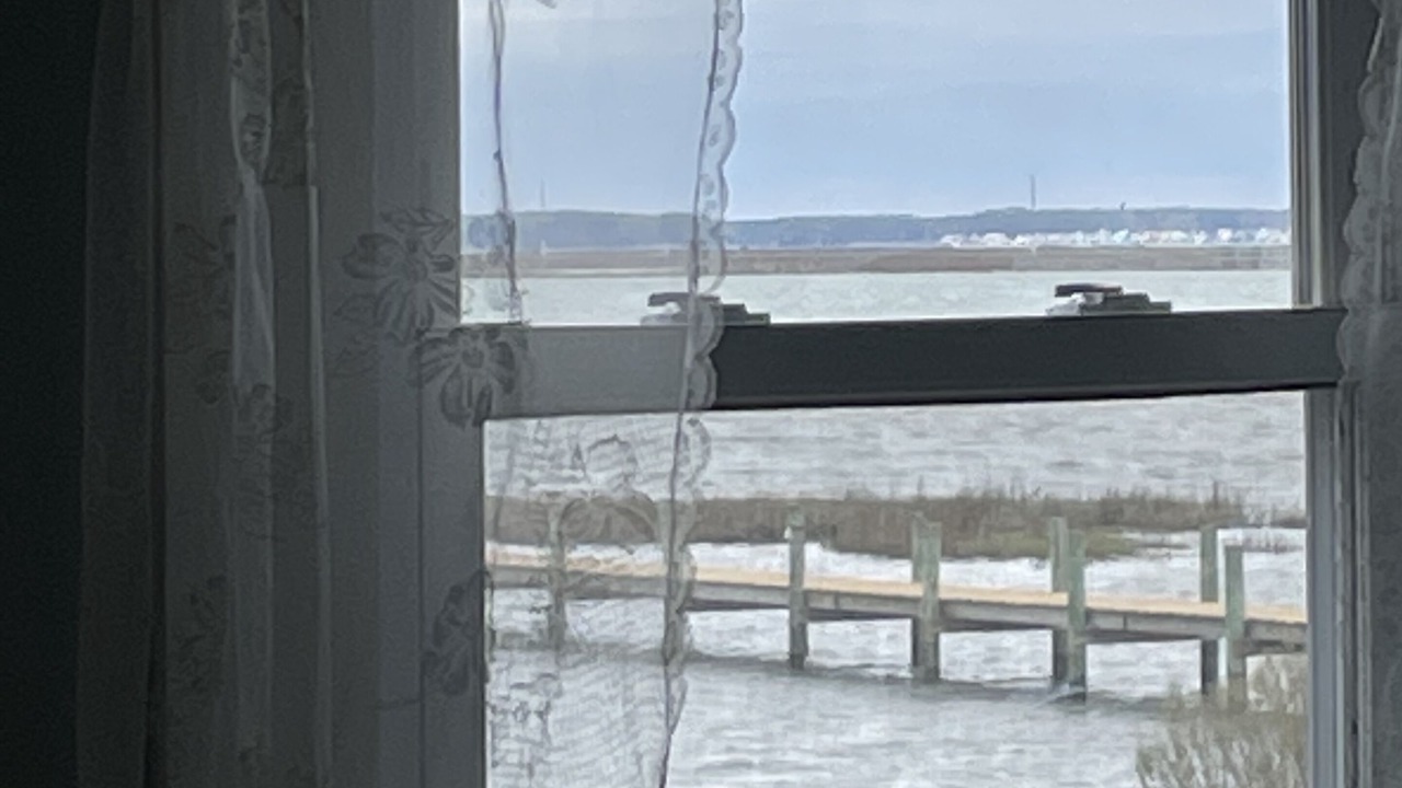Photo of Others in Chincoteague