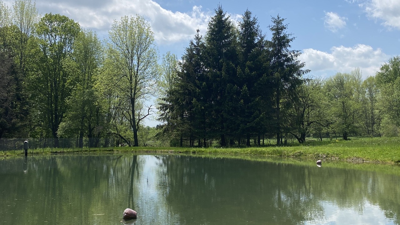 Photo of Outdoor in Burlington Flats