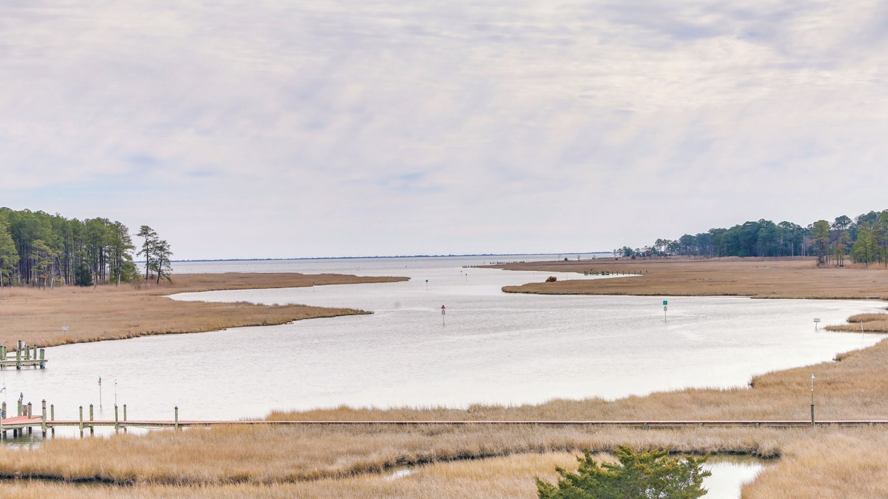 Photo of Outdoor in Rehoboth Beach