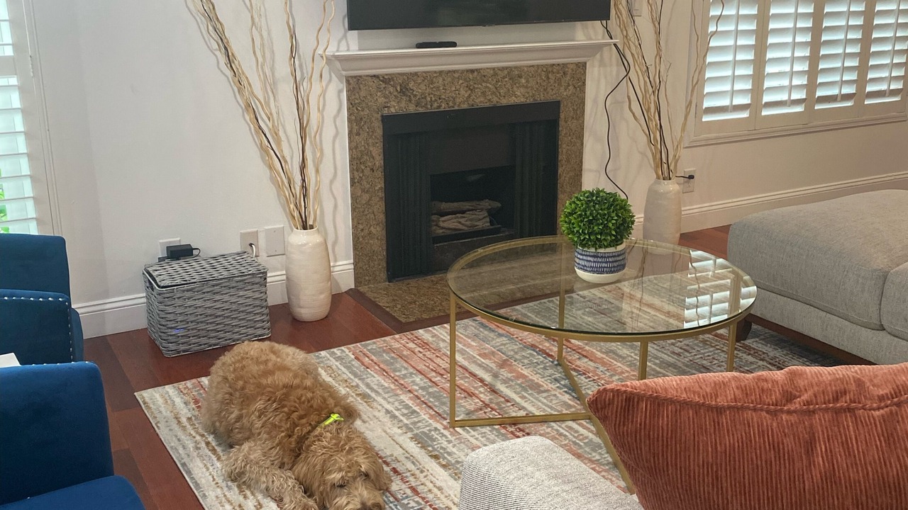 Photo of Livingroom in Pico - Robertson