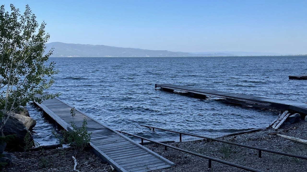 Photo of Others in Woods Bay