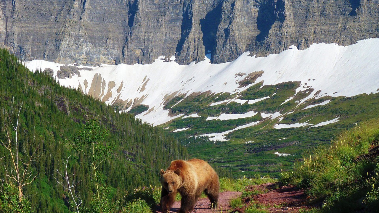 Photo of Others in Kalispell