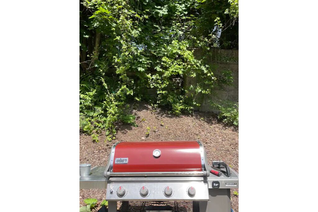 Photo of Outdoor in Albany
