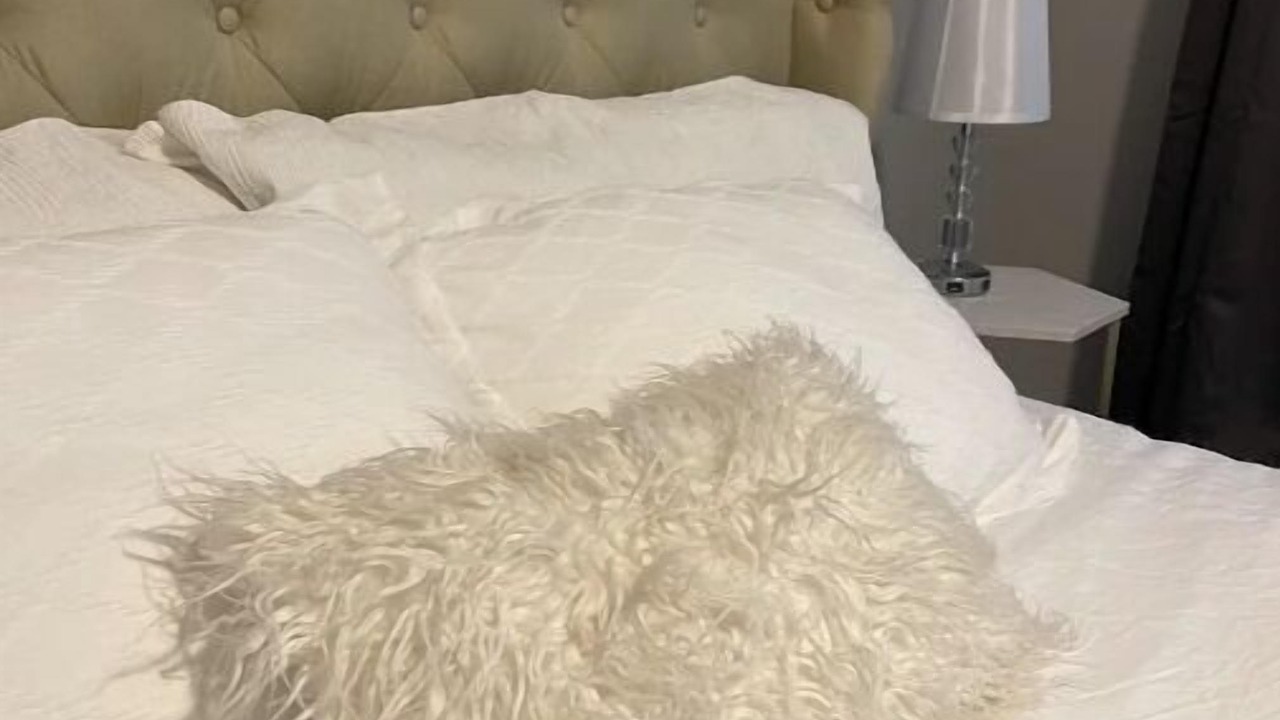 Photo of Bedroom in Albany