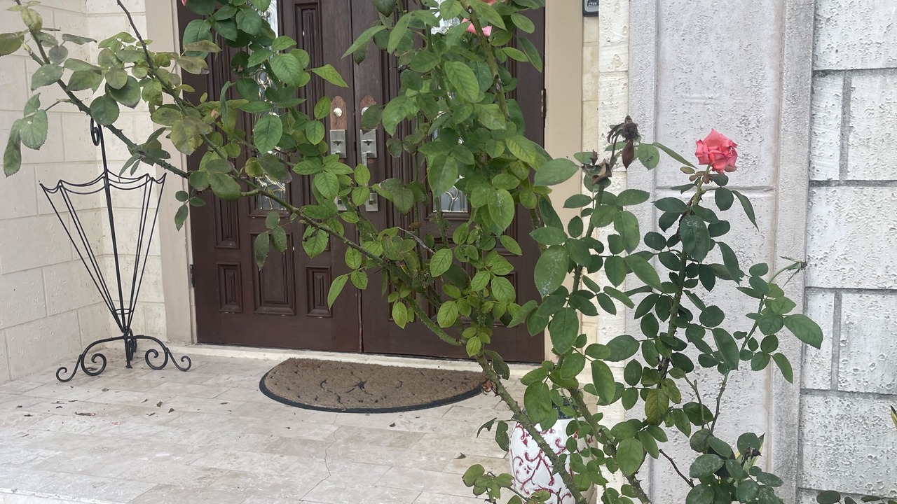 Photo of Outdoor in Boca Raton