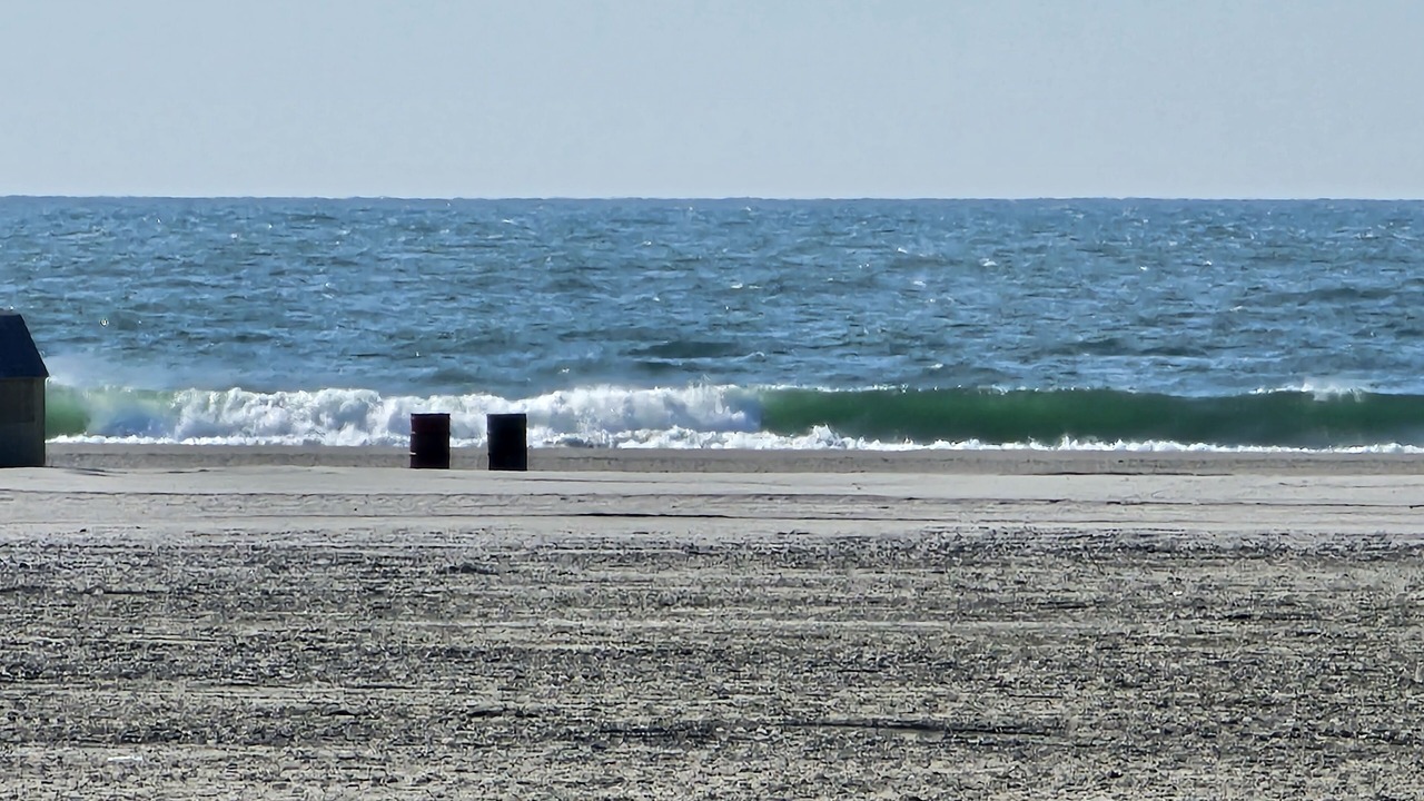 Photo of Others in Wildwood