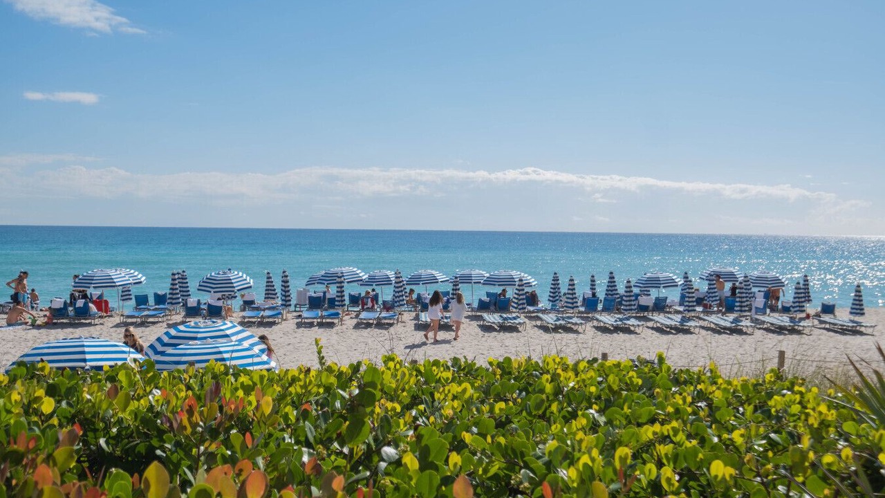 Photo of Others in Hallandale Beach