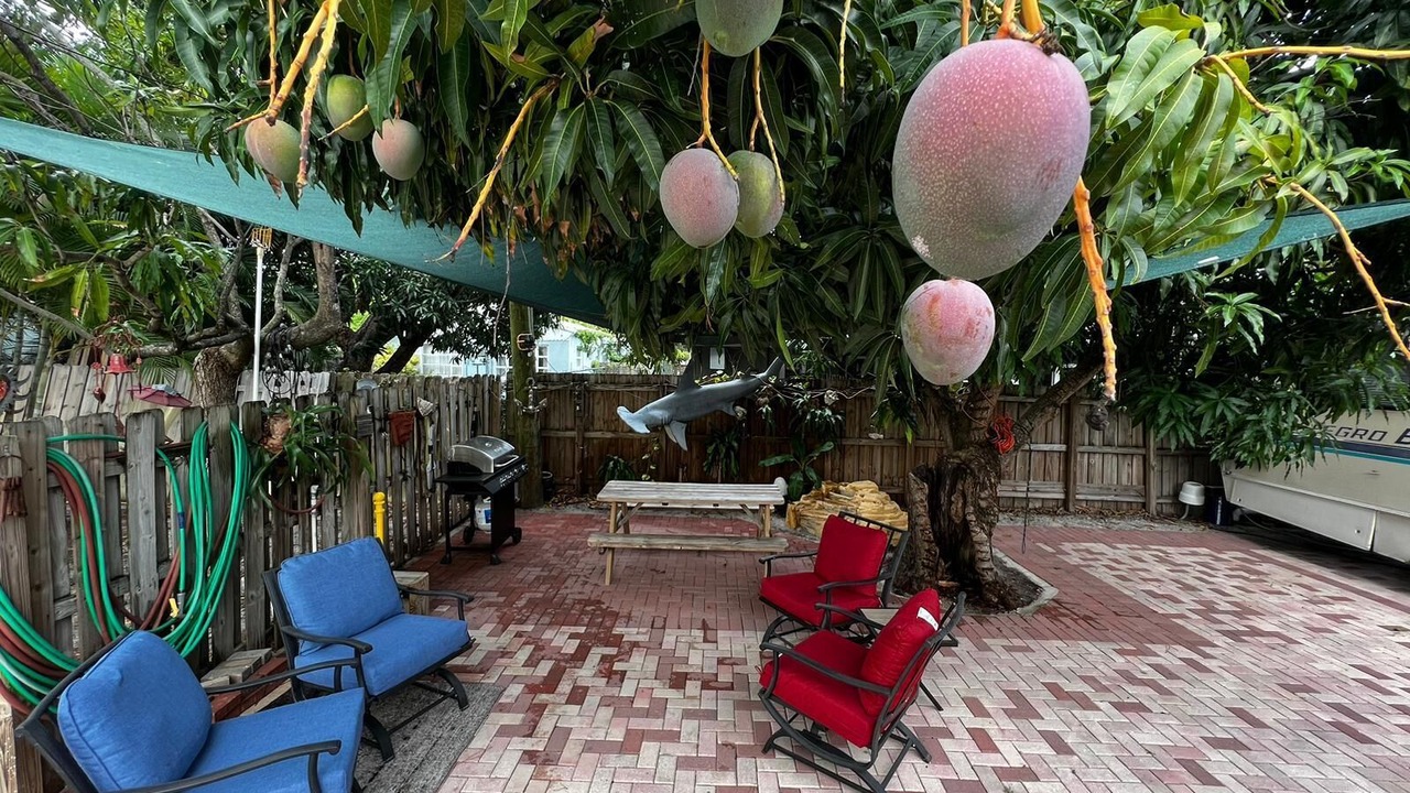 Photo of Patio Balcony in Lake Ridge