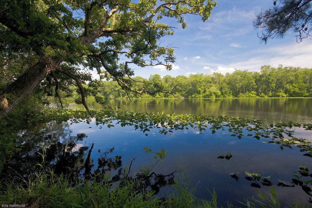 Photo of Others in Pocomoke City