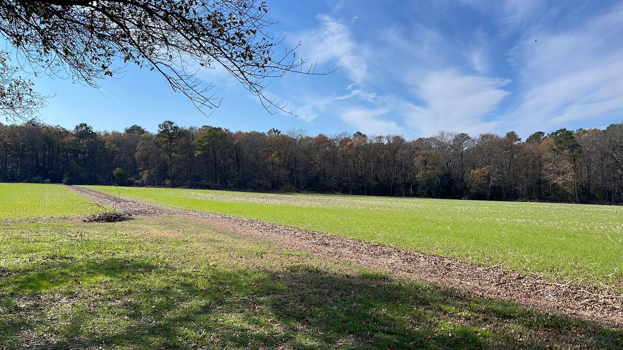 Photo of Others in Pocomoke City