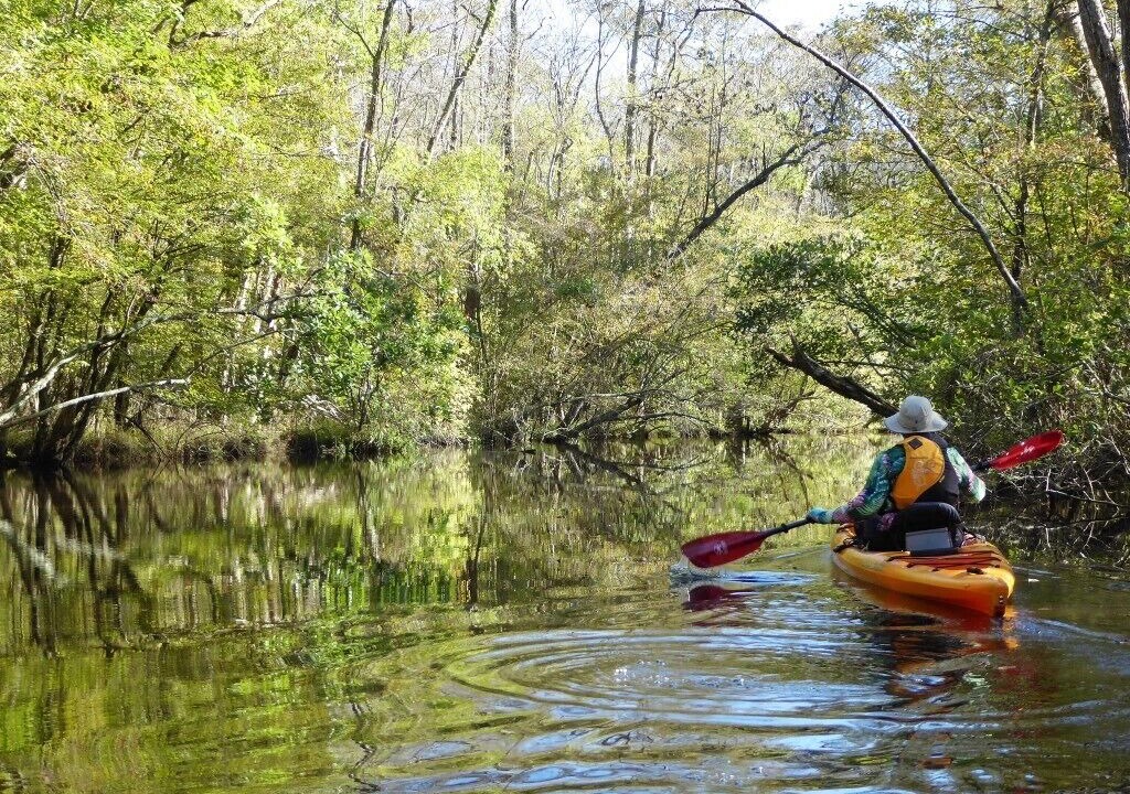 Photo of Others in Pocomoke City