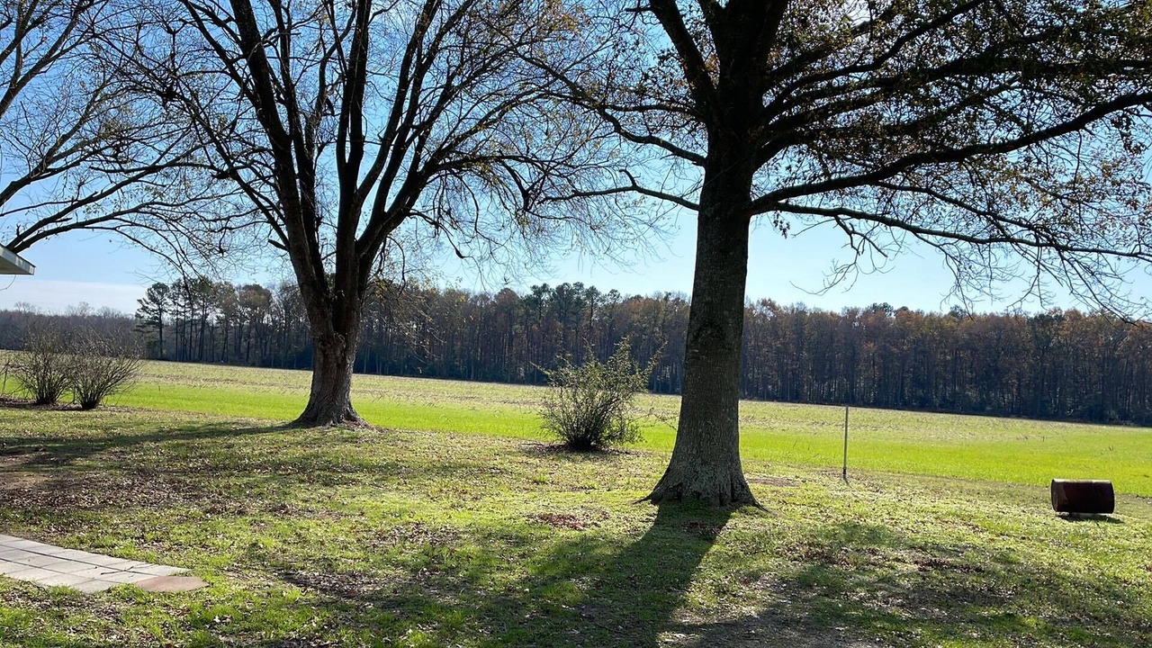 Photo of Others in Pocomoke City