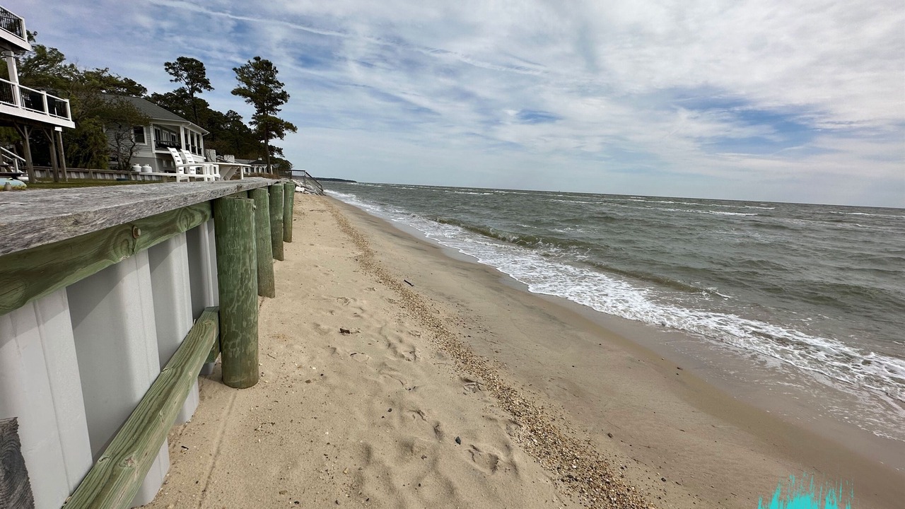 Photo of Others in Point Lookout