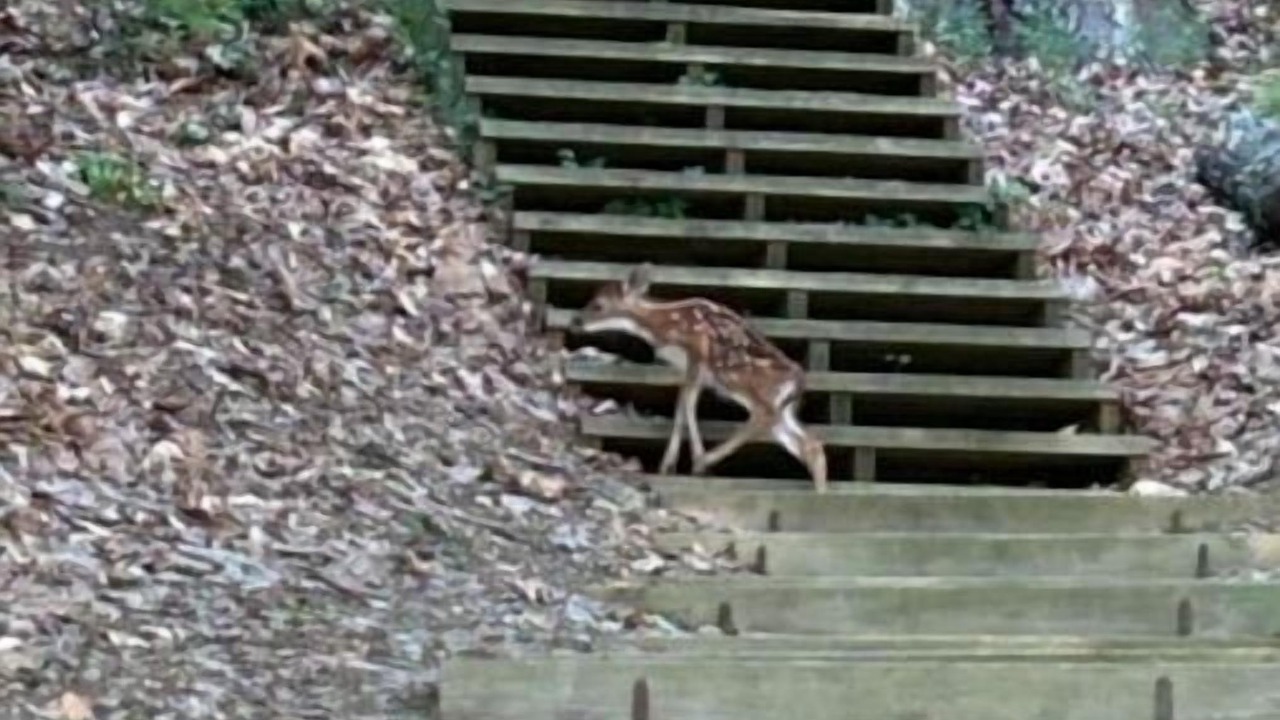 Photo of Others in Chesapeake Ranch Estates-Drum Point