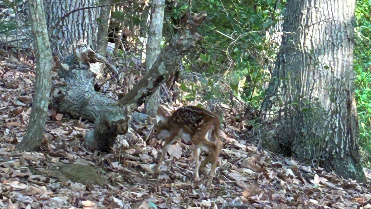 Photo of Outdoor in Chesapeake Ranch Estates-Drum Point
