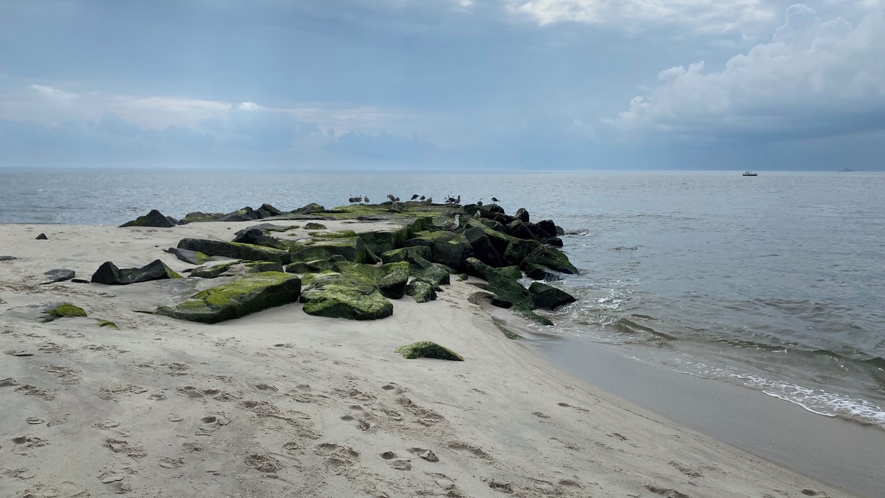Photo of Others in Cape May Point