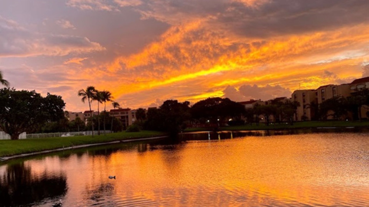 Photo of Others in Delray Beach