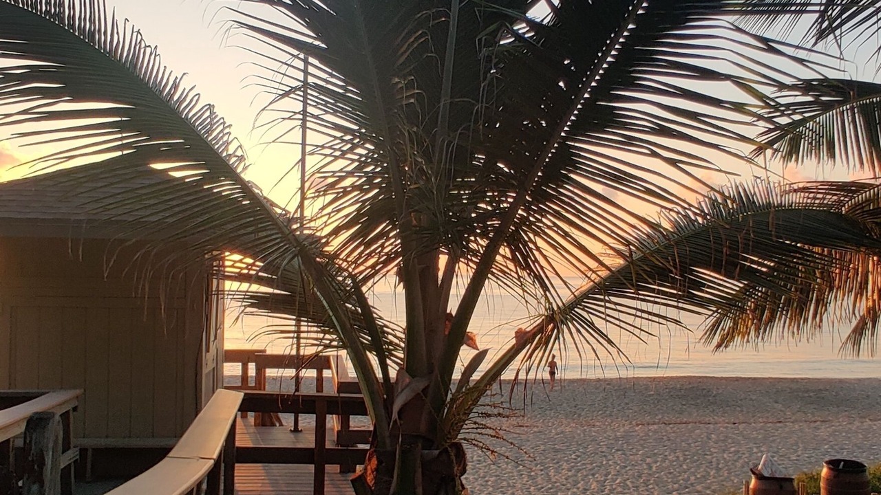 Photo of Outdoor in Boynton Beach