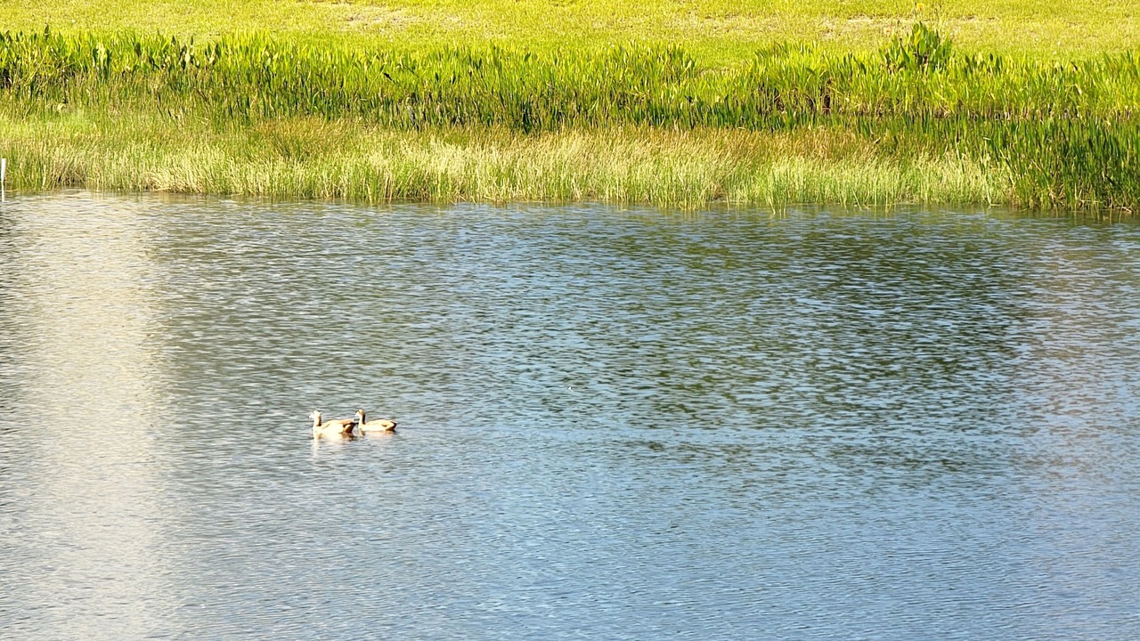 Photo of Outdoor in Century Village
